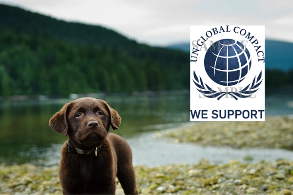 Tierversicherung teil von UN Global Compact