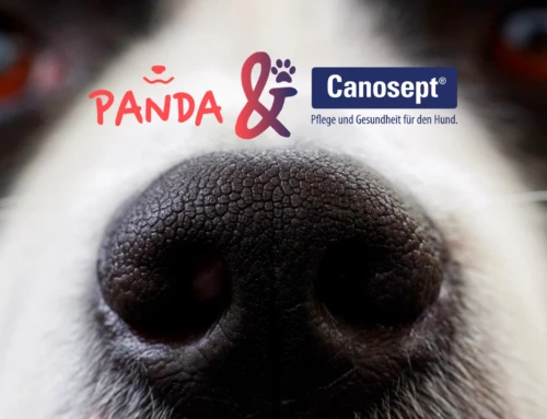 PANDA startet tolle Kooperation mit Canosept