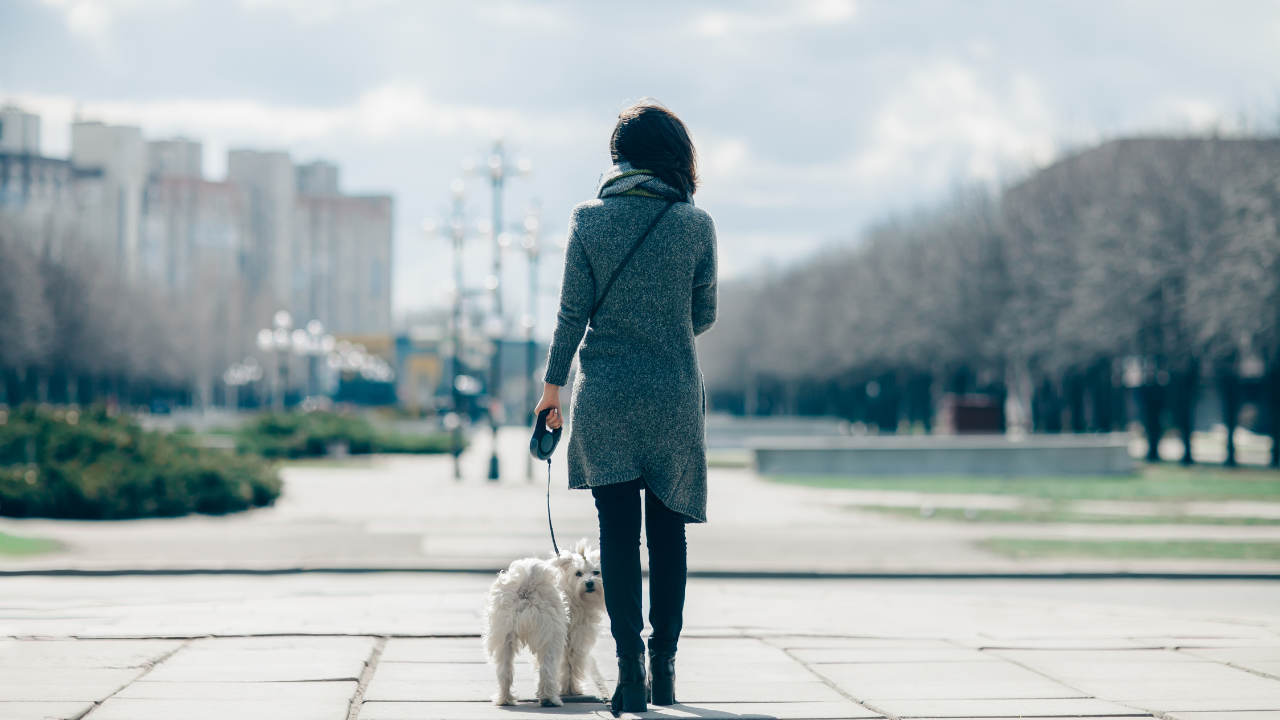 Ein Hund spaziert mit seiner Besitzerin durch eine städtische Umgebung.