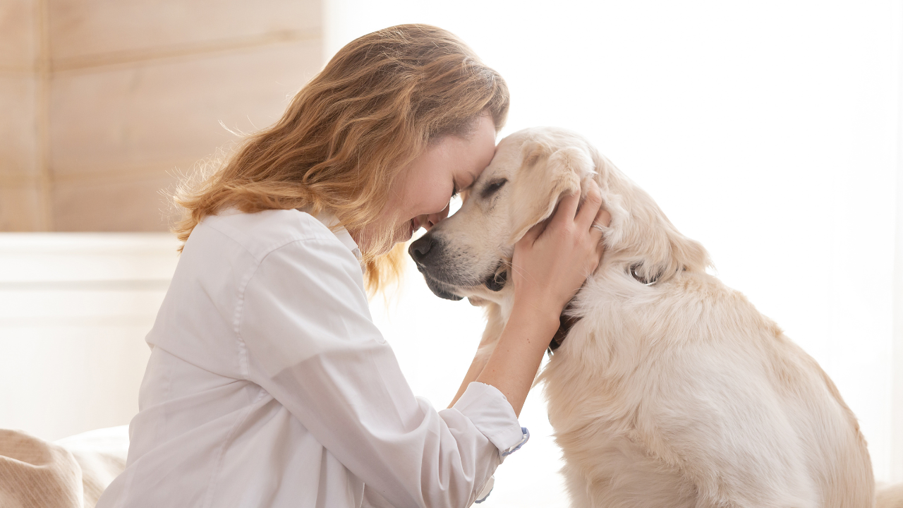 Eine Frau kuschelt mit ihrem versicherten Hund. 