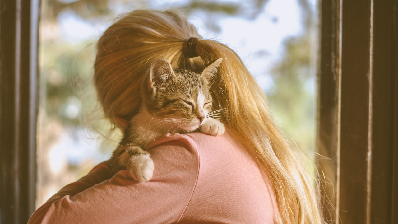 Eine Tierbesitzerin kuschelt mit ihrer versicherten Katze.